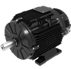 T132ECI